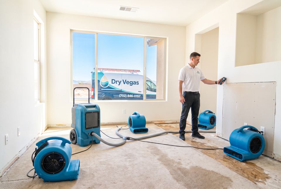 A technician holds a moisture meter to a wall cut open at the base, with blue air movers and a dehumidifier on the pulled back carpet, the van outside the window
